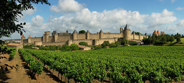 Carcassonne_vineyard