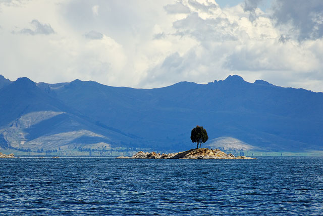 Lone tree at small island in Lake Titicaca with mountains in background