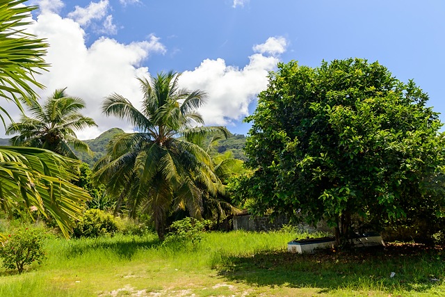 Anse Aux Pins, Mahe, Seychelles