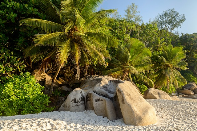 Anse Georgette, Praslin, Seychelles