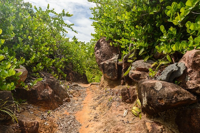 walk to Anse Lazio from Mont Plaisir, Praslin, Seychelles