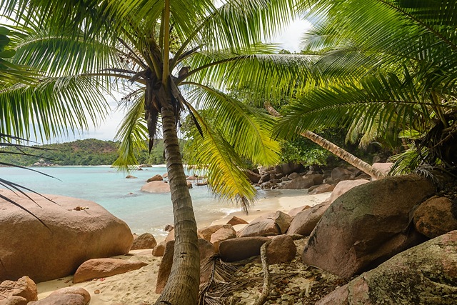 Anse Lazio from Mont Plaisir, Praslin, Seychelles