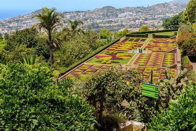 Jardim Botânico, Bom Successo, Funchal, Madeira