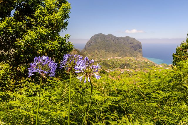 Penha de Águia, Madeira