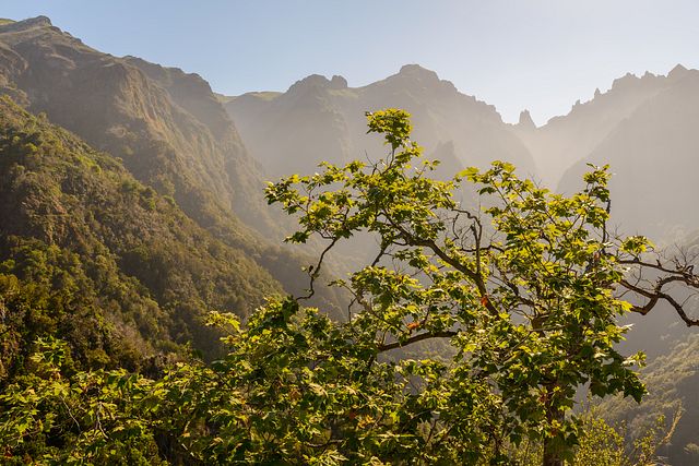 view from Balcões near Ribeiro Frio