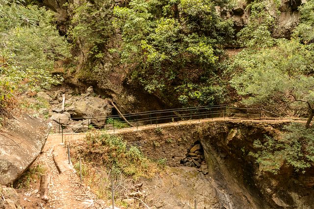 Levada do Bom Successo, Madeira