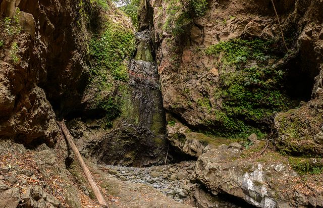 dry waterfall in Levada do Bom Successo, Madeira