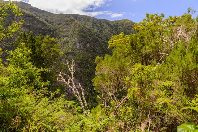 Levada do Caldeirão Verde, Madeira