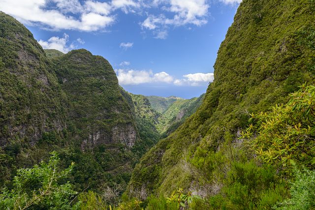 Levada do Caldeirão Verde, Madeira