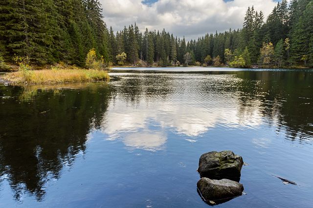 Vrbické Pleso