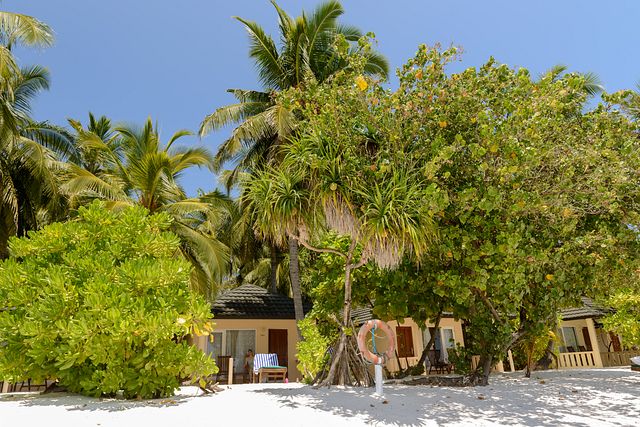 accommodation at Holiday Island, Maldives