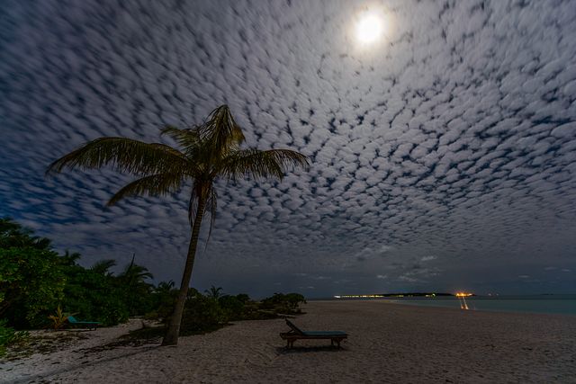 Moon shining at palm at Holiday Island, Maldives