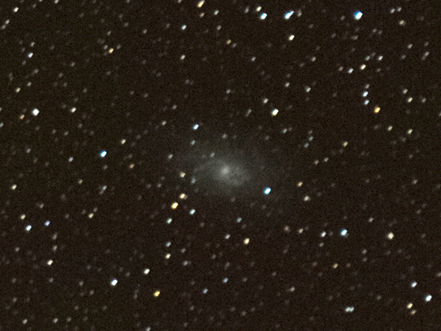 M33